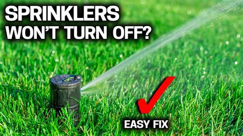 why is my sprinkler leaking when off|Why Your Sprinkler System is Leaking When It’s Off